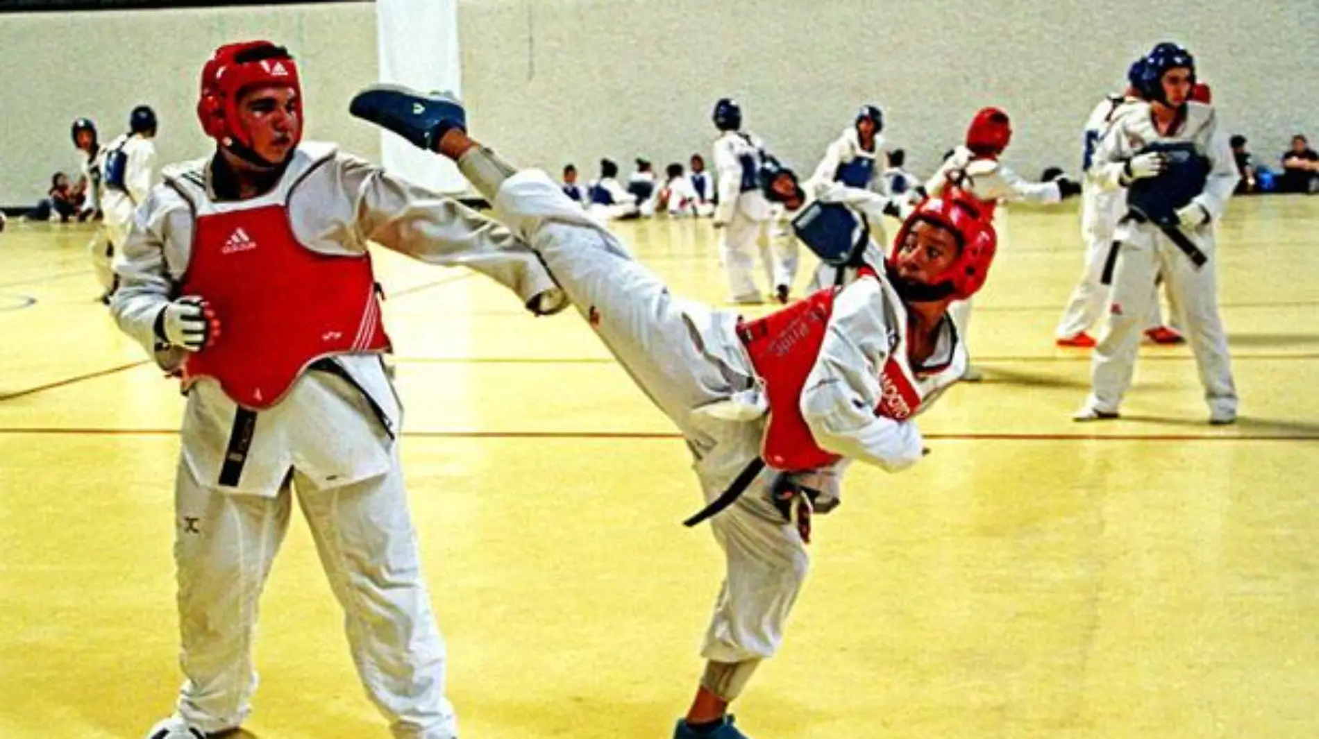 TAEKWONDO (1)